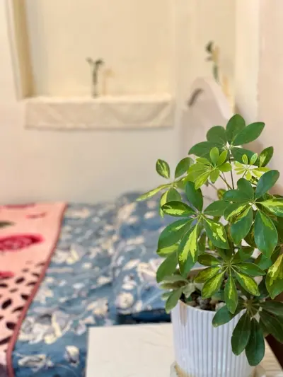 بومگردی اقامتگاچخماق - واحد خوش نشین