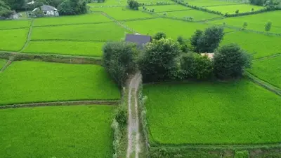 کلبه دوخوابه سوئیسی پدی