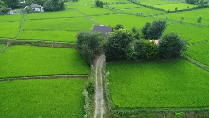 کلبه دوخوابه سوئیسی پدی - تصویر دنج کلبه