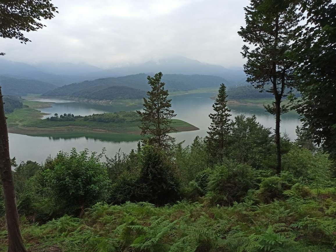 آپارتمان دوخوابه یاس سفید 1