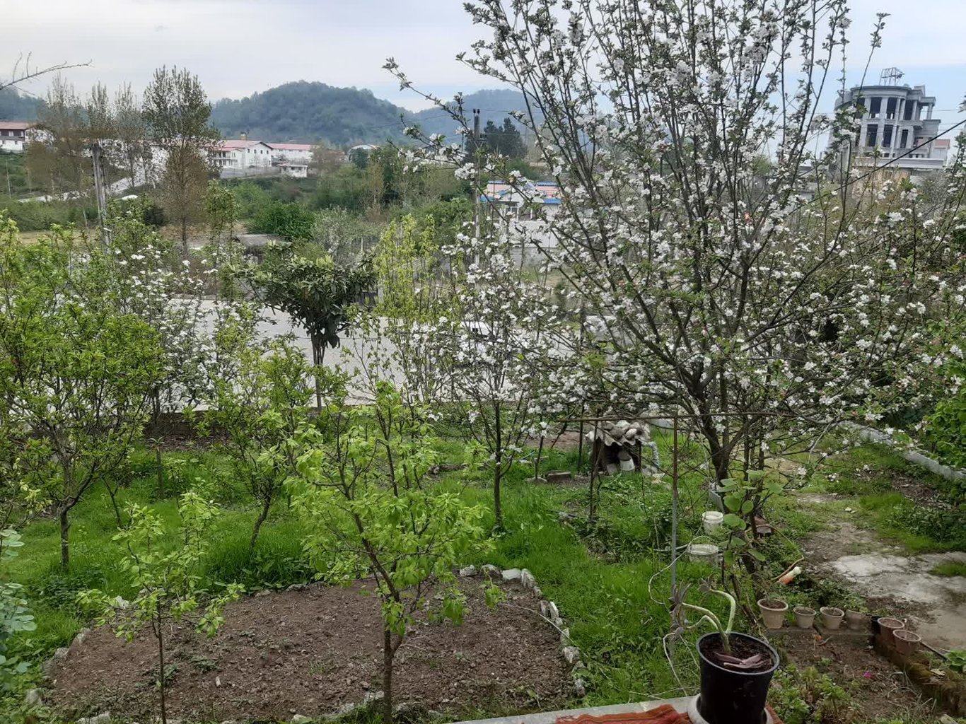 یک خوابه جنگلی هودول