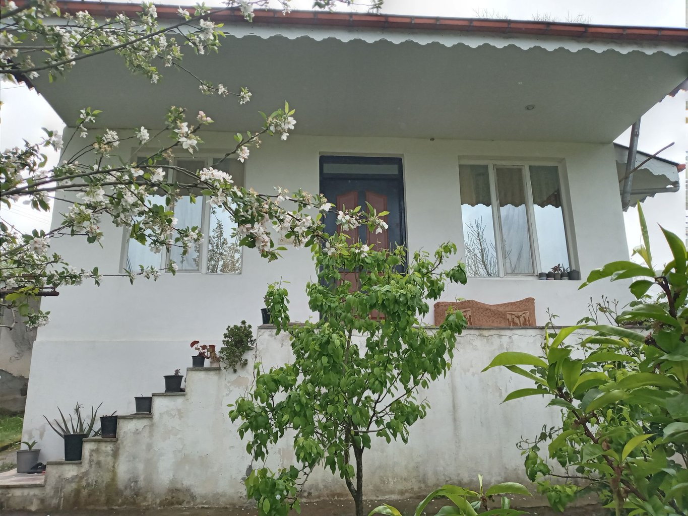 یک خوابه جنگلی هودول