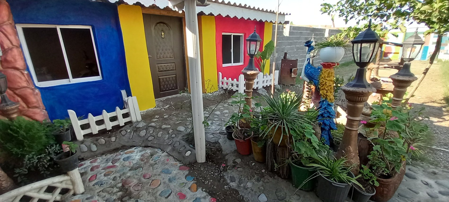 یک خوابه اواکادو