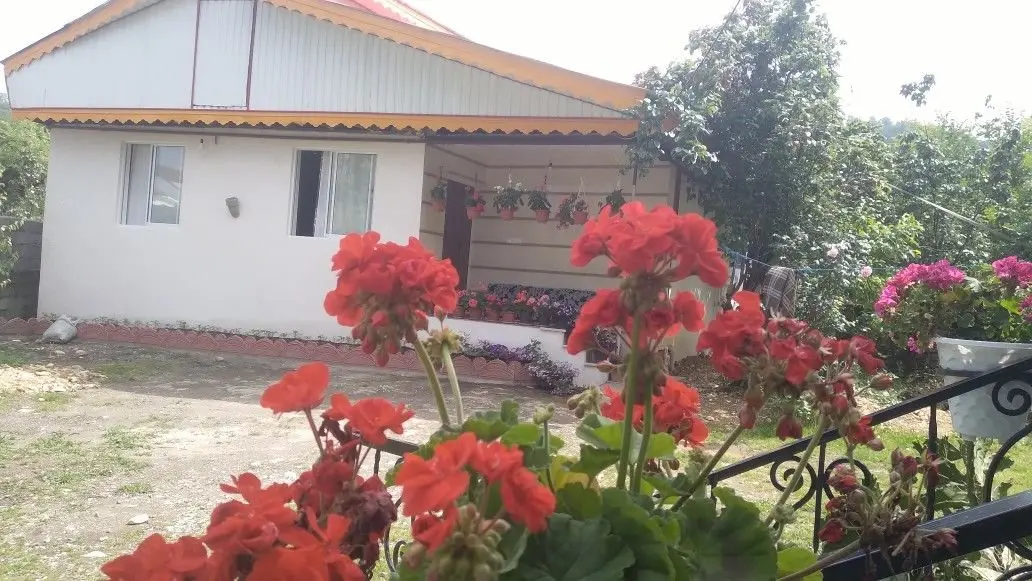 ویلا دوخوابه جنگلی یاسین - نمای ویلا