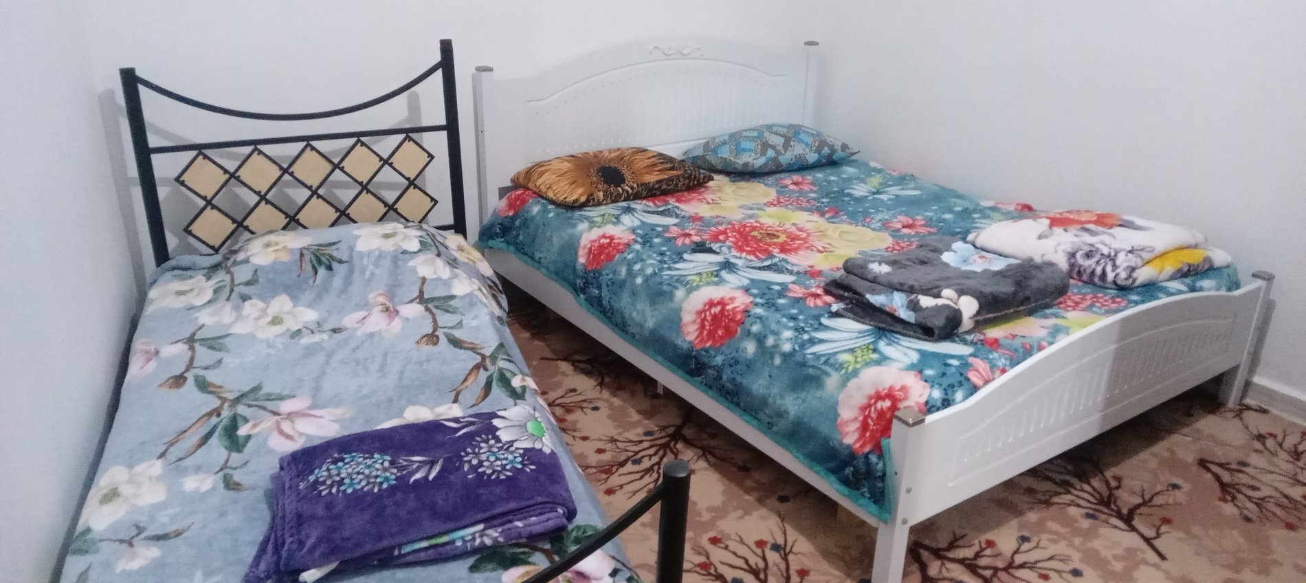 ویلا یک خوابه جزیره 2