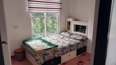 ویلا یک خوابه استخردار چهارفصل بام سبز شمال