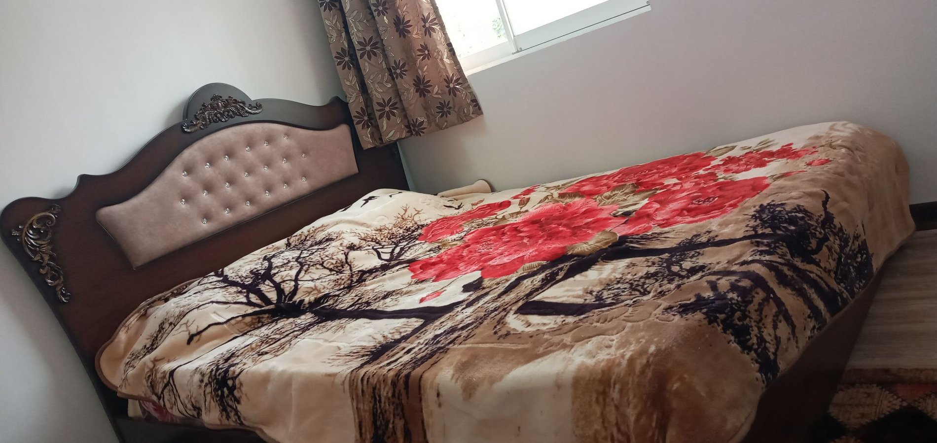 دوخوابه جنگلی دیاکو