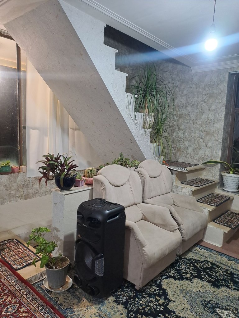 یک خوابه جنگلی میاندوآب