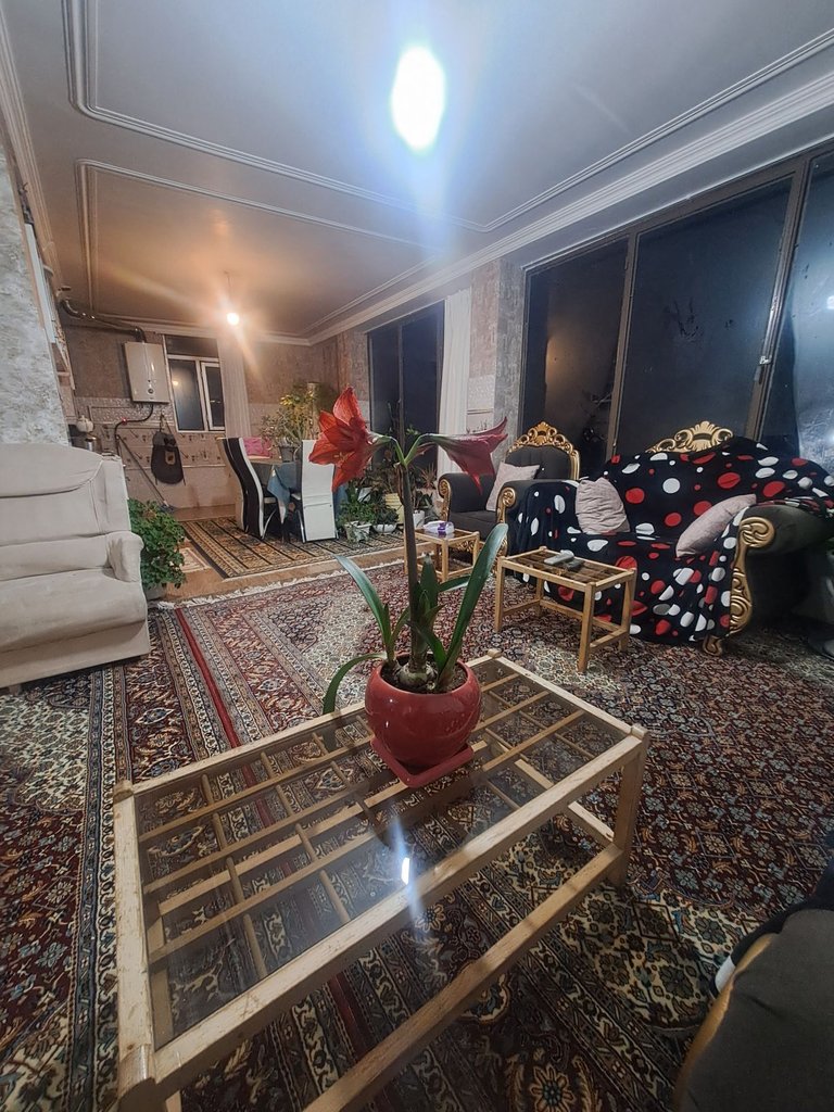 یک خوابه جنگلی میاندوآب