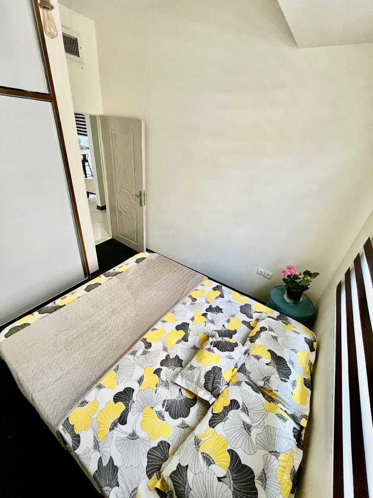 دوخوابه کاملیا شریعتی