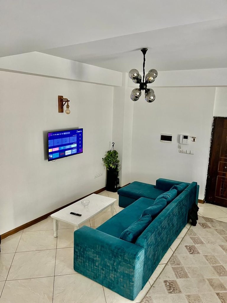 دوخوابه کاملیا شریعتی