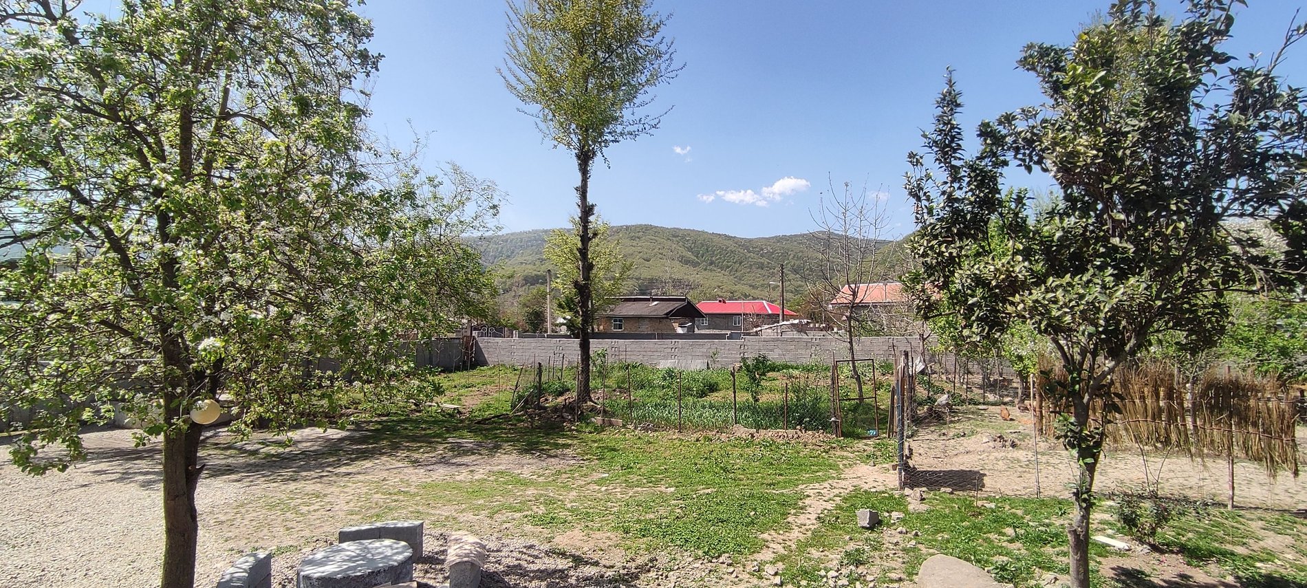 دو خواب حسینیان