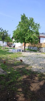 ویلا دو خواب حسینیان - حیاط