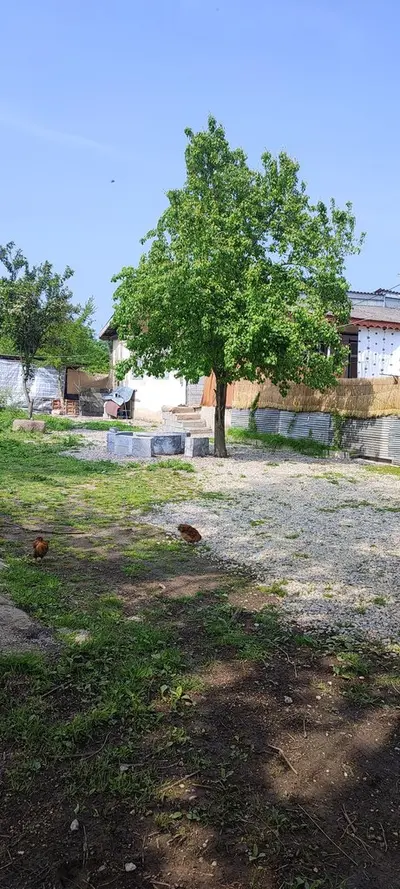 ویلا دو خواب حسینیان