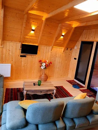 کلبه یک خوابه سوئیسی جنگلی یاس 2