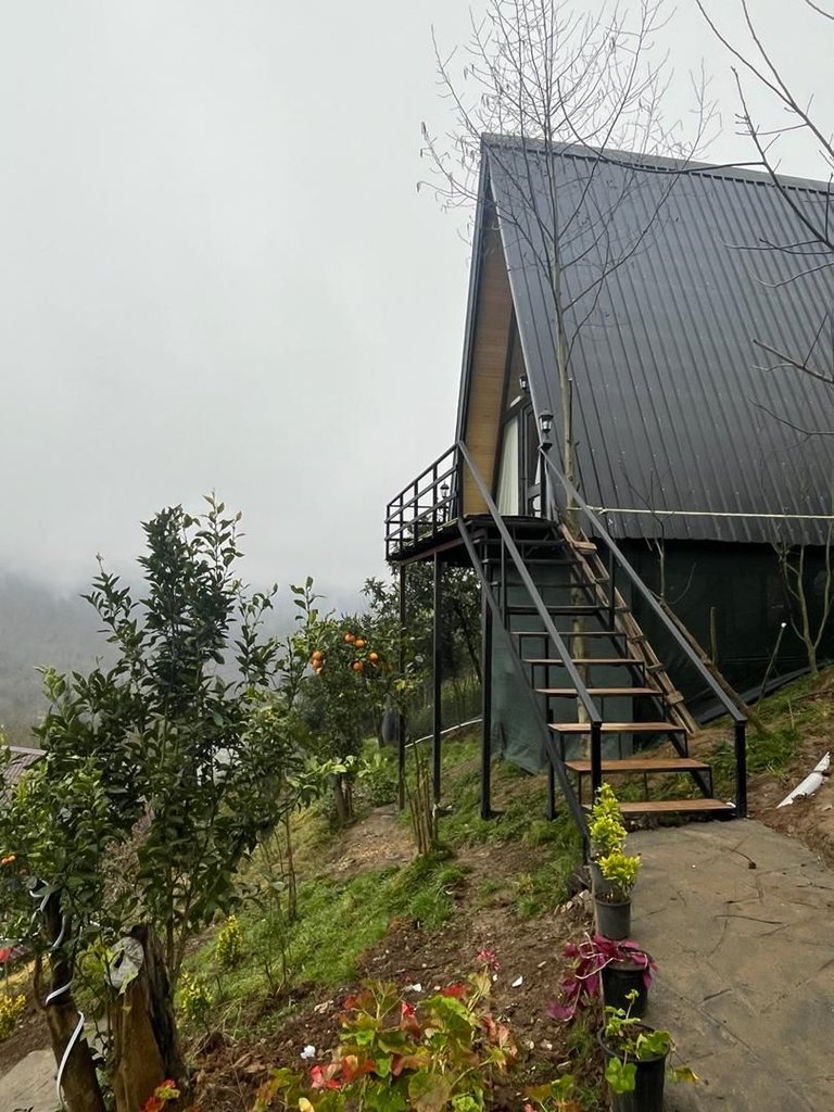 یک خوابه سوئیسی دنیز