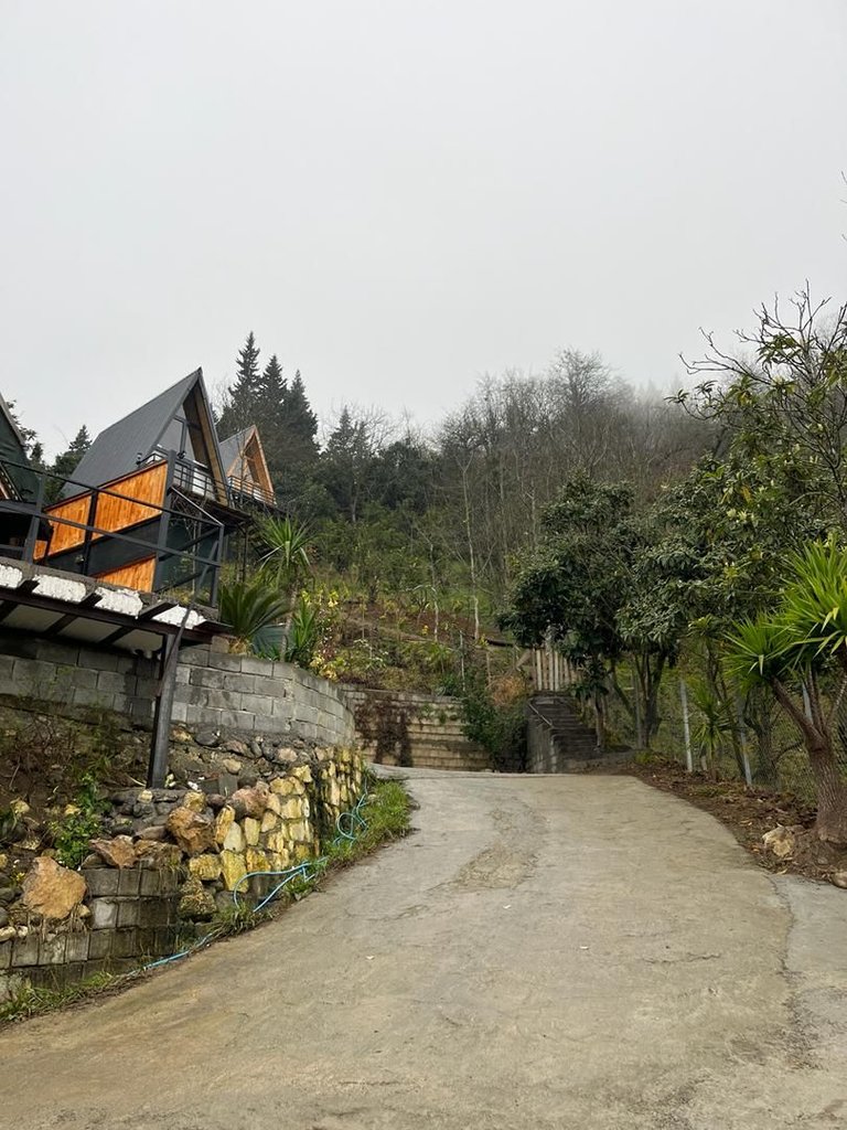 یک خوابه سوئیسی دنیز