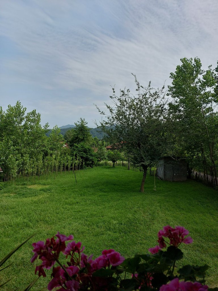 دوخوابه جنگلی فرهنگیان