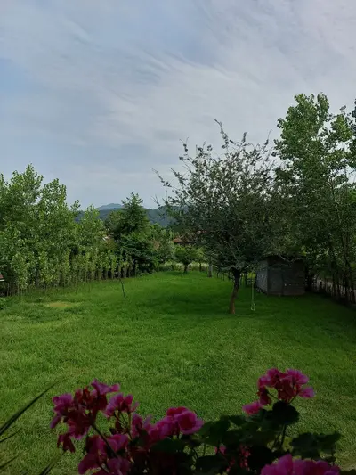 ویلا دوخوابه جنگلی فرهنگیان