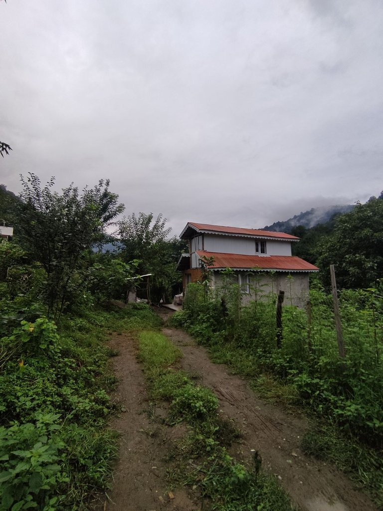 یک خوابه جنگلی کوهستان ۲