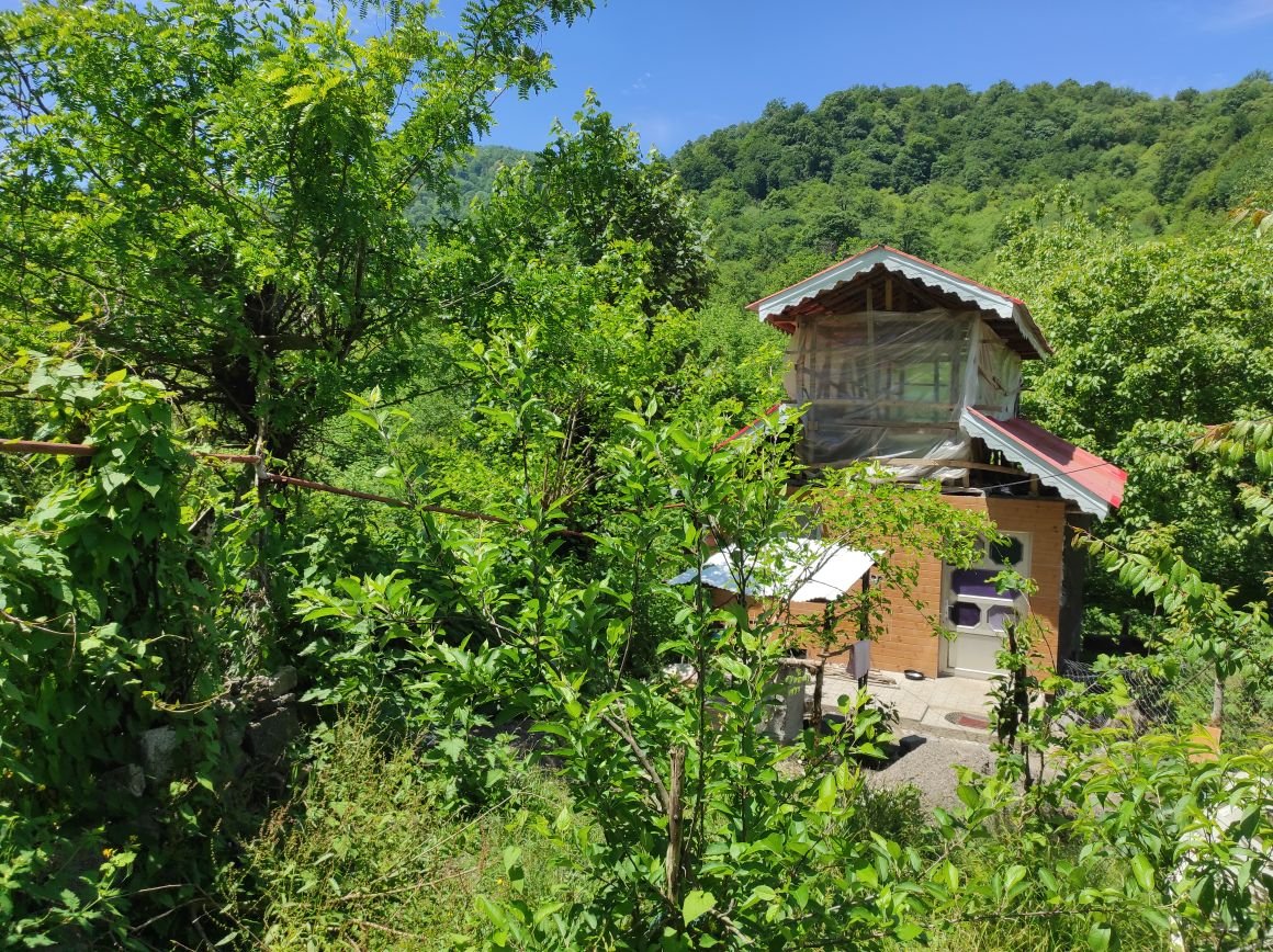 یک خوابه جنگلی کوهستان ۲