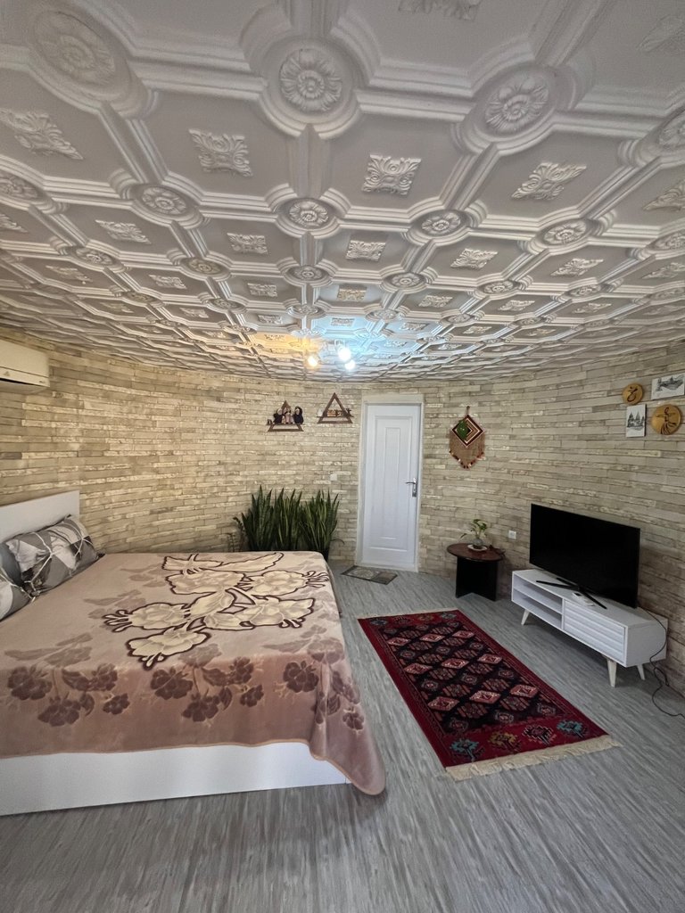 ویلا یک خوابه جنگلی نمناک