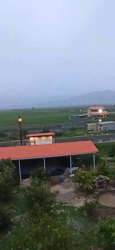 سوئیت یک خوابه باغ گلزار