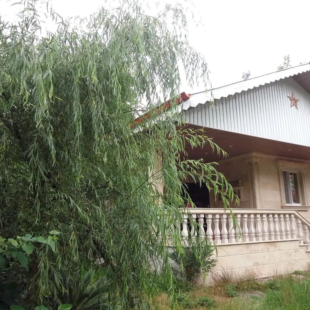 یک خوابه لاسک