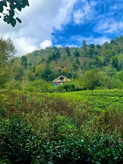 کلبه چهارخوابه جنگلی باران