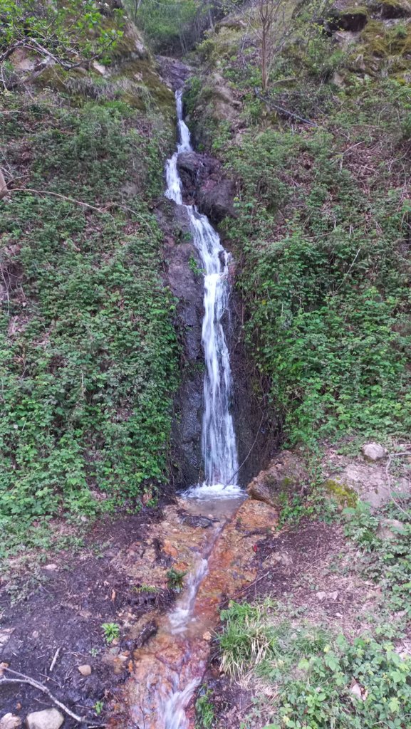 دوخوابه جنگلی لاله 1 - آبشار درویوواقامتگاه