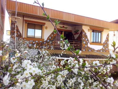 سوئیت یک خوابه شقایق 2