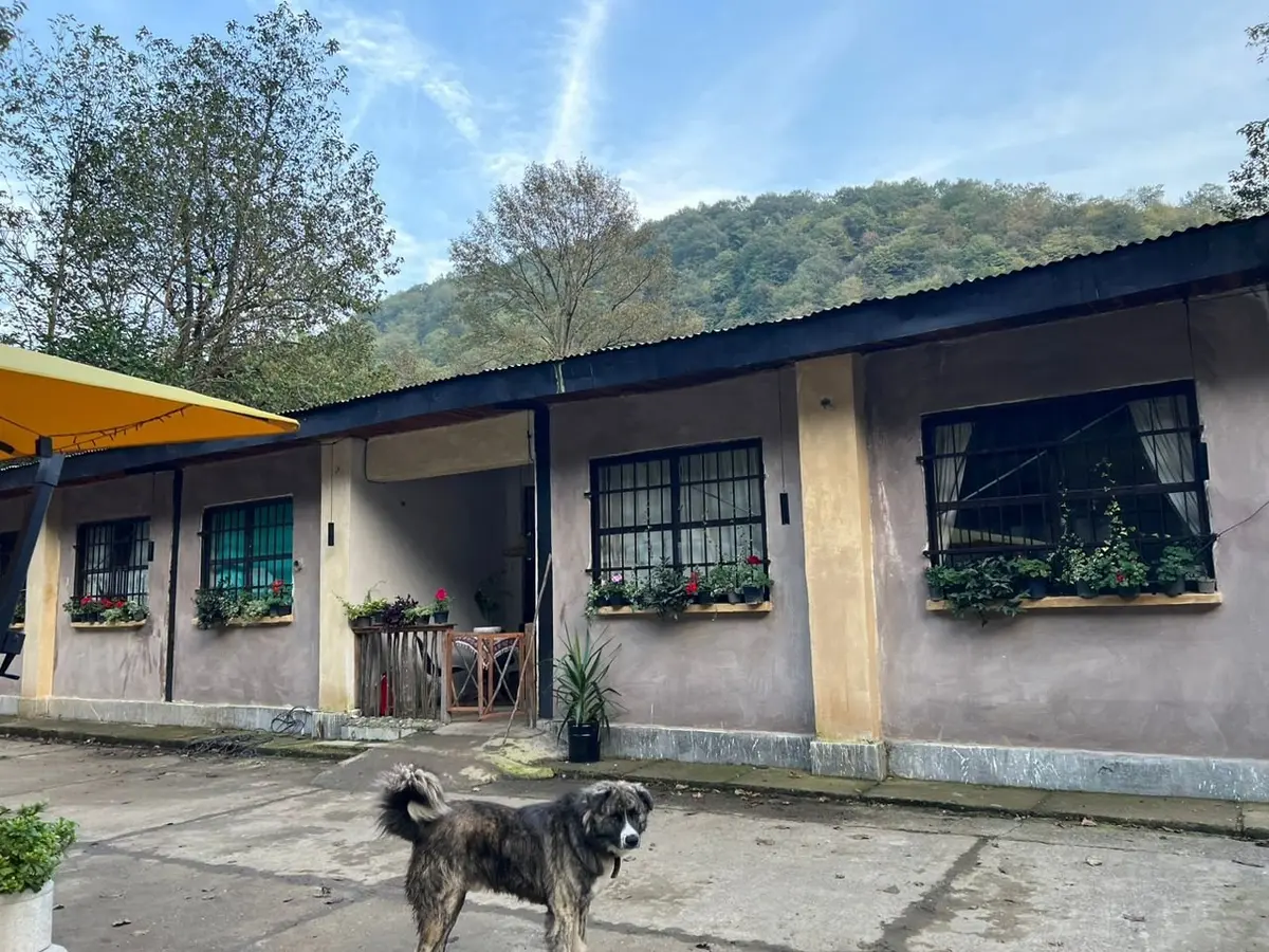 هاستل هیچستان - واحد ۳