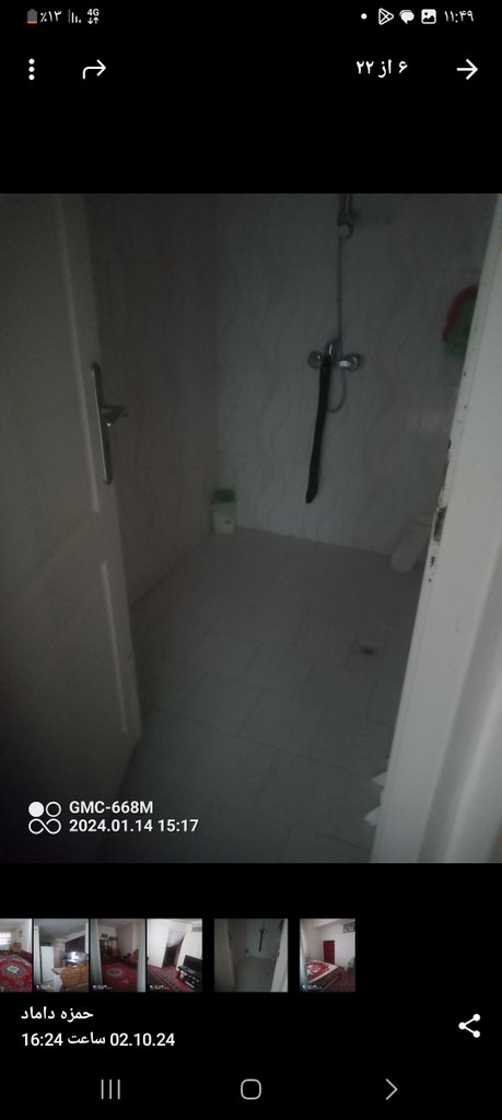 سوئیت تک درخت گلدیان