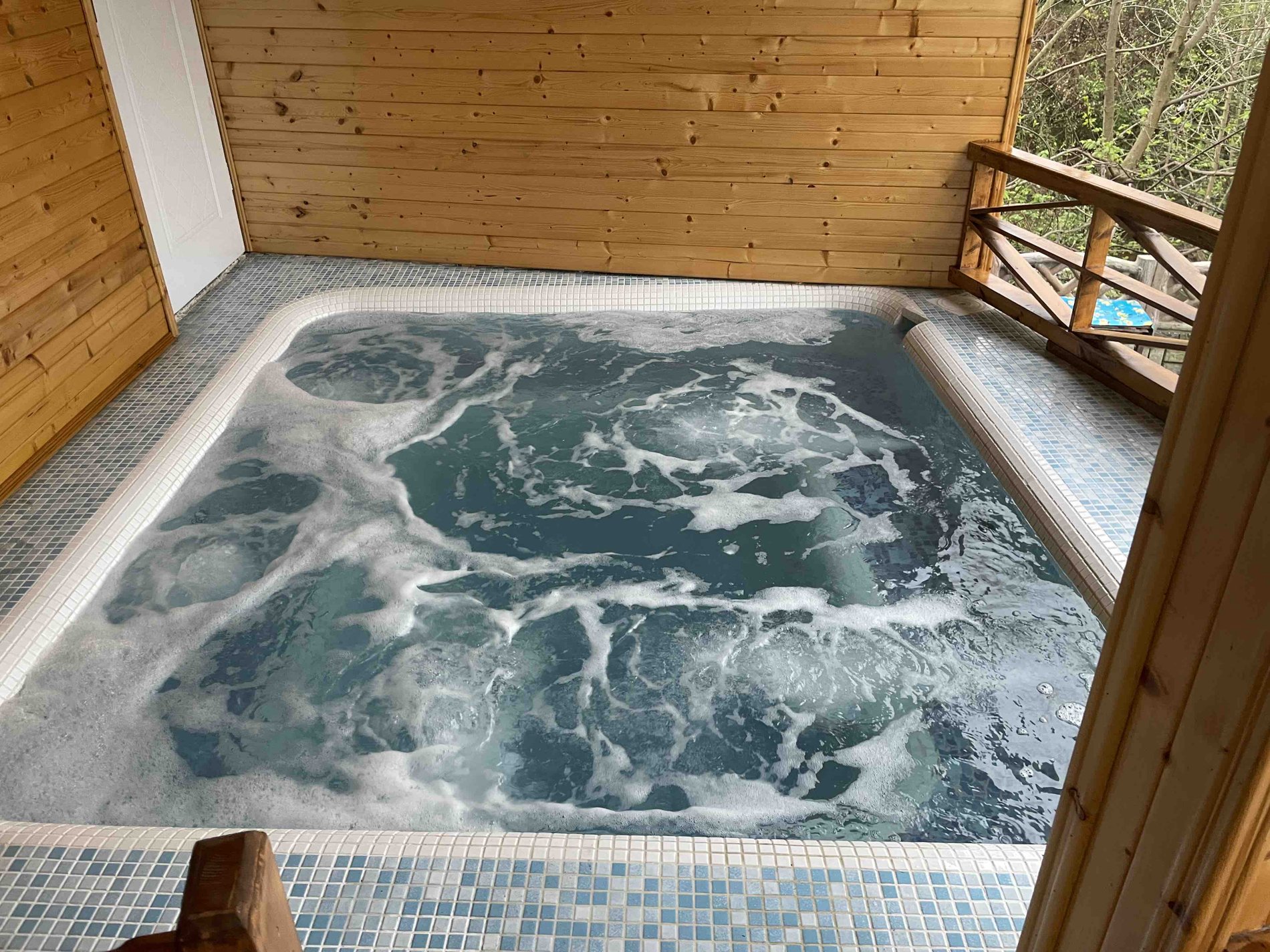 یک خوابه جکوزی دار جنگلی ریکاوری