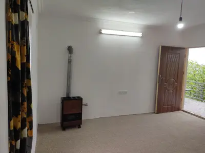 سوئیت فلت جنگلی نارنج