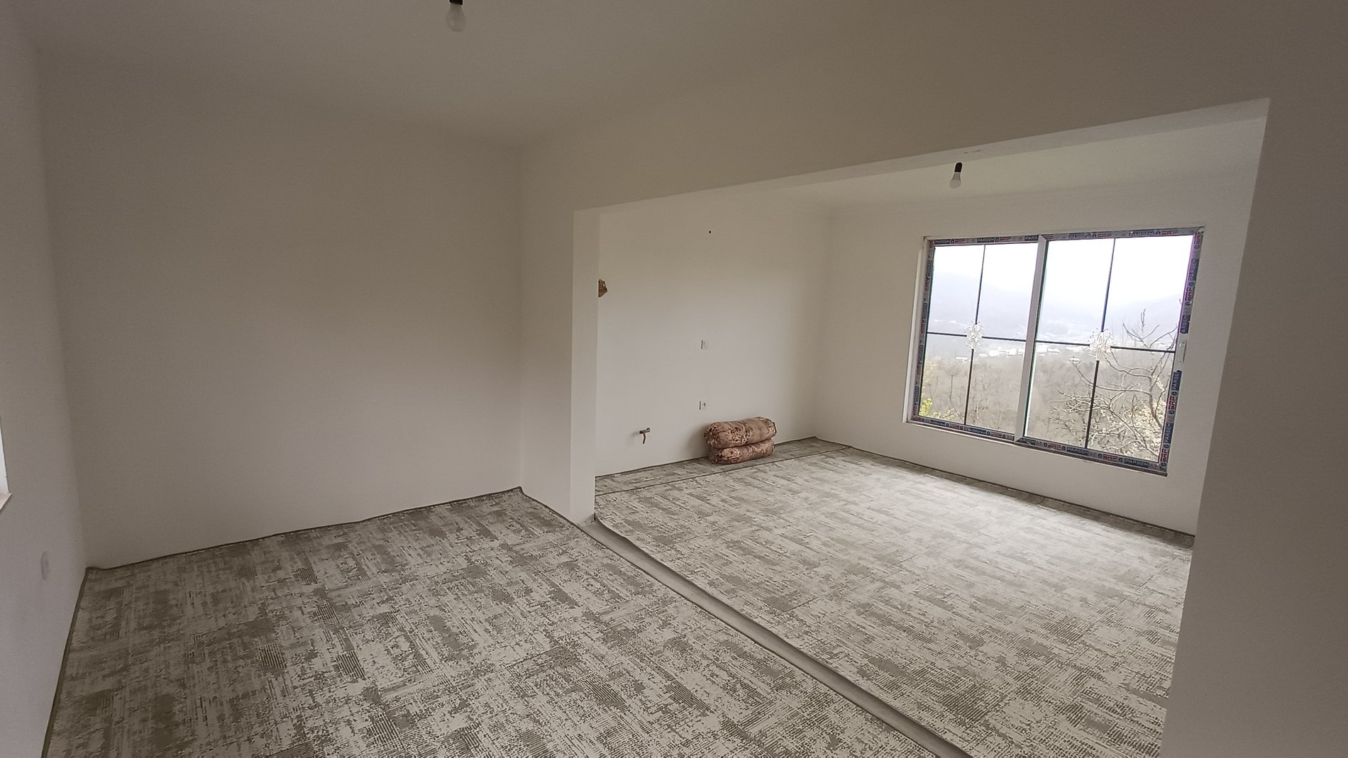 سوئیت فلت جنگلی نارنج