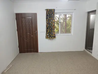 سوئیت فلت جنگلی نارنج