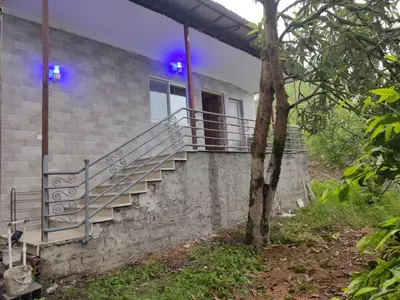 سوئیت فلت جنگلی نارنج