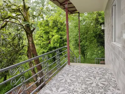 سوئیت فلت جنگلی نارنج