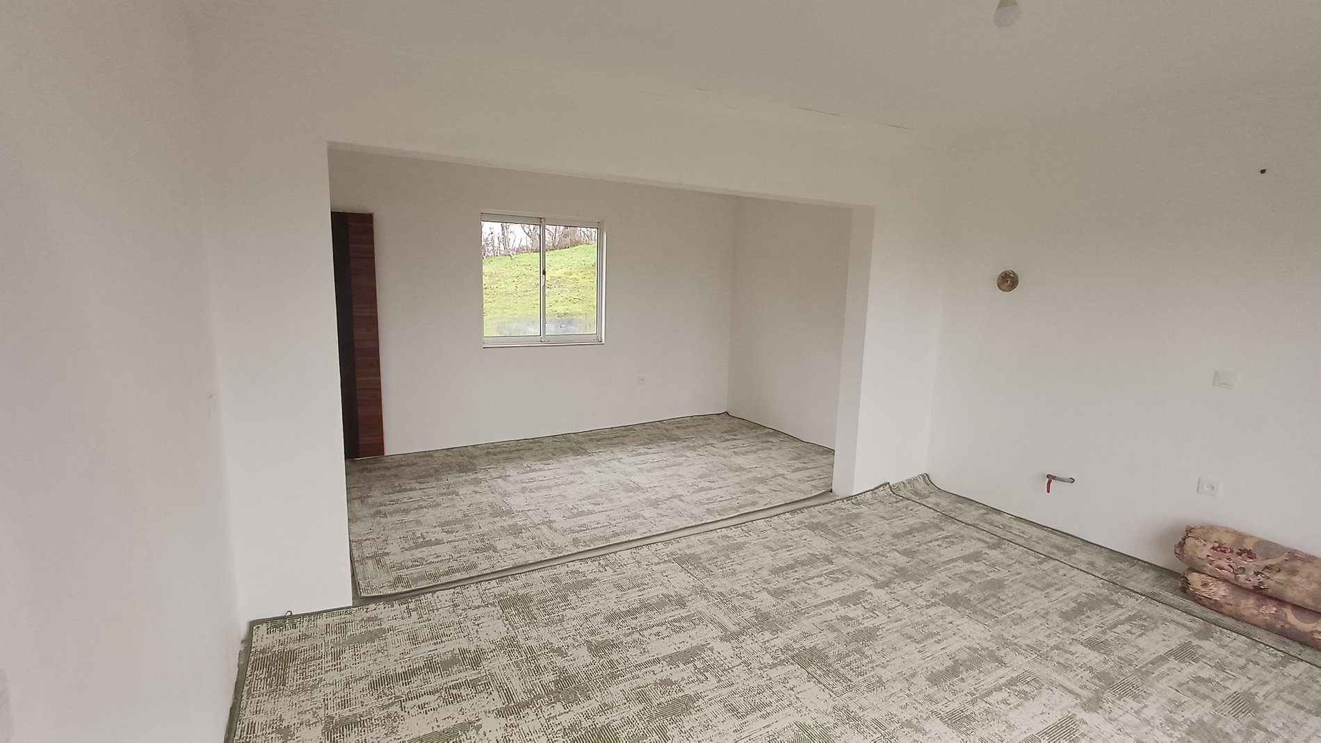 سوئیت فلت جنگلی نارنج