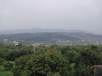 سوئیت دوخوابه جنگلی محیا