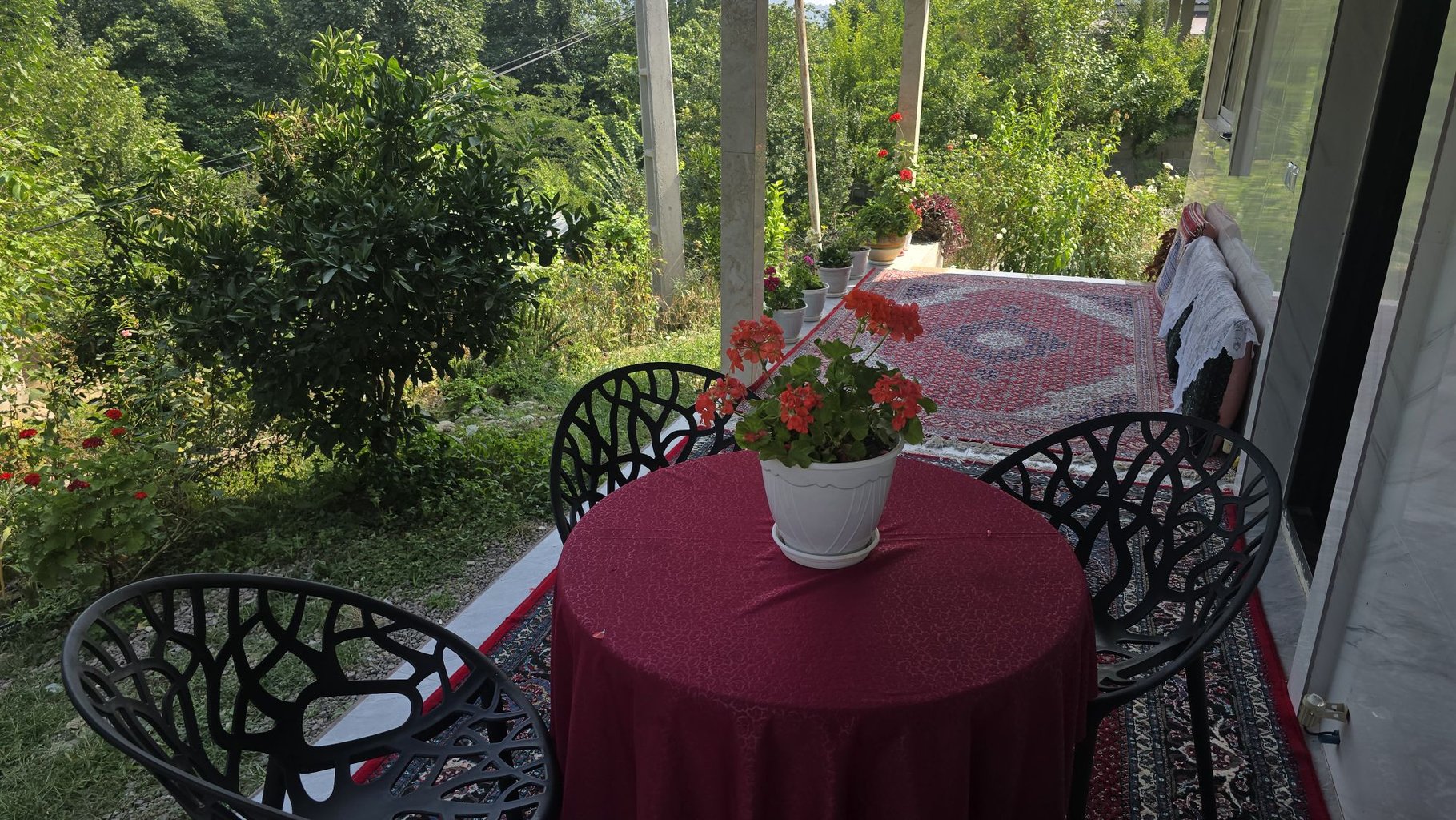 دوخوابه جنگلی سعدی