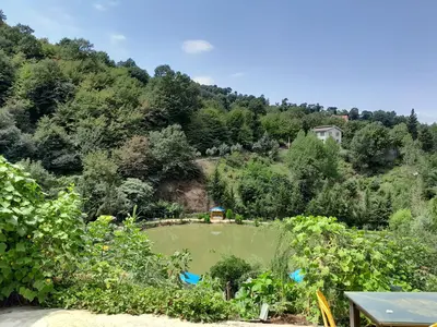 سوئیت یک خوابه جنگلی شهران 1