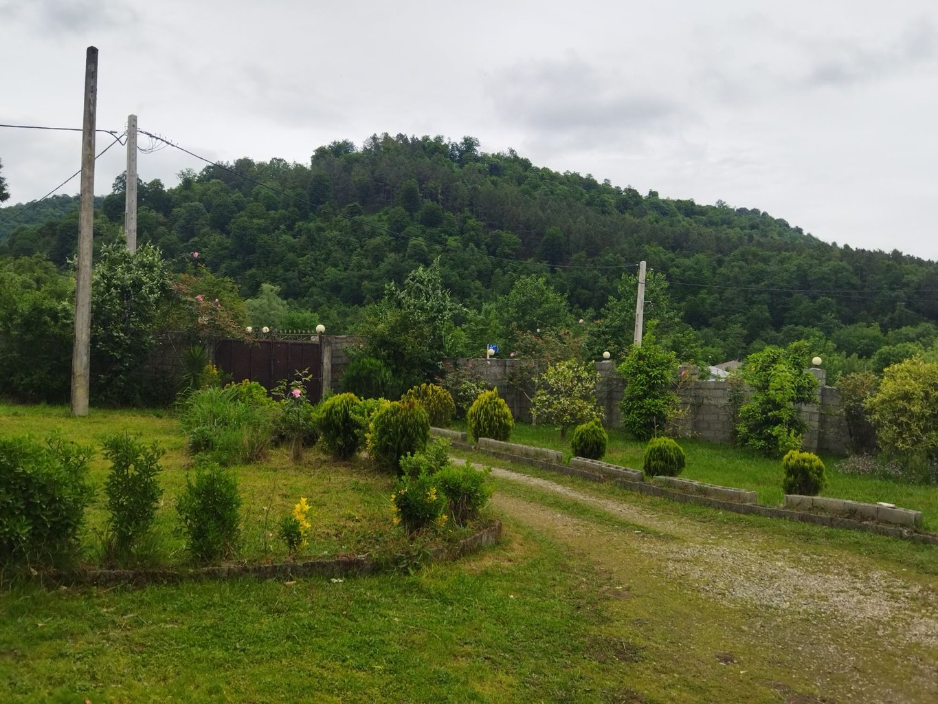 ویلا دوخوابه جنگلی ویسادار