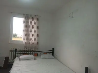 ویلا دوخوابه جنگلی پدرام