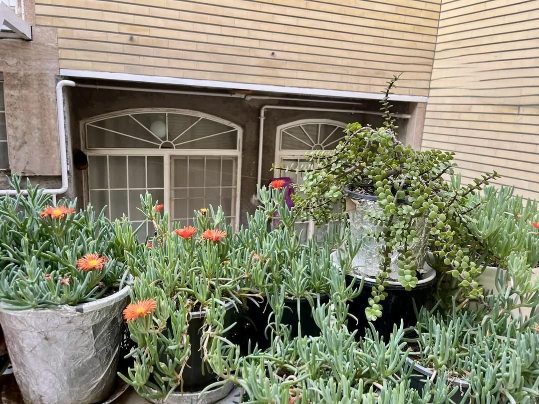 سوئیت منزل دربست دو خواب با پارکینگ گلستانه