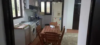 کلبه دوخوابه عزیزجون