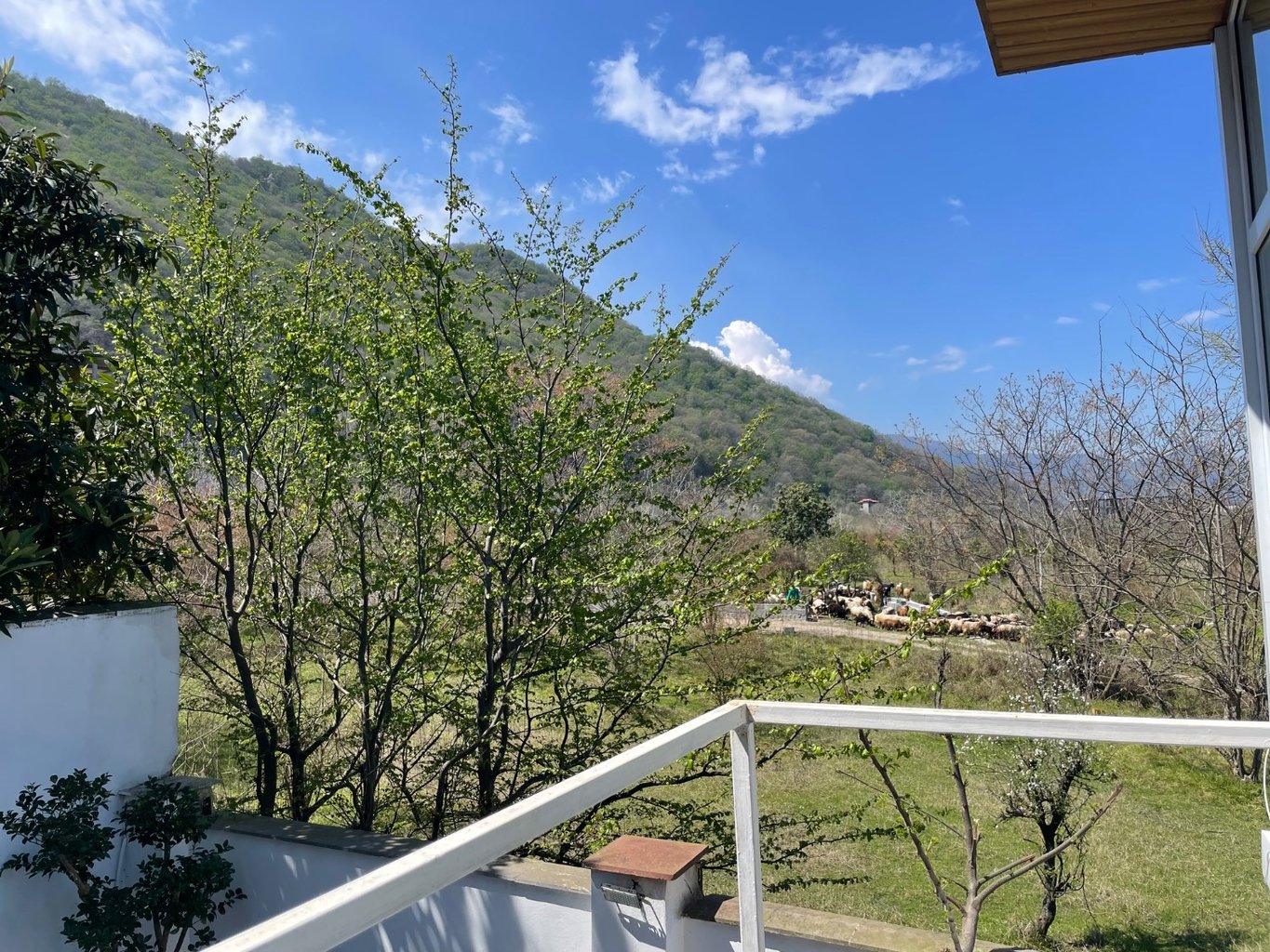 ویلا یک خوابه مانترای