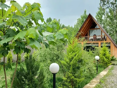 کلبه یک خوابه سوئیسی شبره