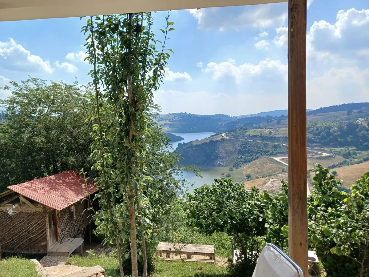 ویلا یک خوابه جنگلی برادران حسینی